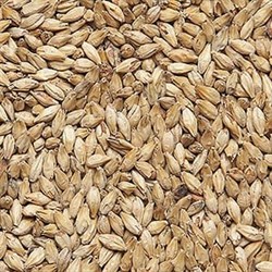 Солод Курский ячменный Pale Ale, Россия, КГ 26010 - фото 4811