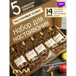 Набор Настойчивый Хозяин №3 (5 бутылки) 2476 - фото 6795
