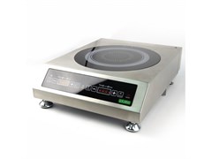 Индукционная плита iPlate Alisa 2824